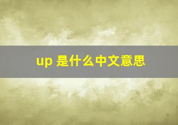 up 是什么中文意思